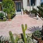 Cactus Living Jaliszósz