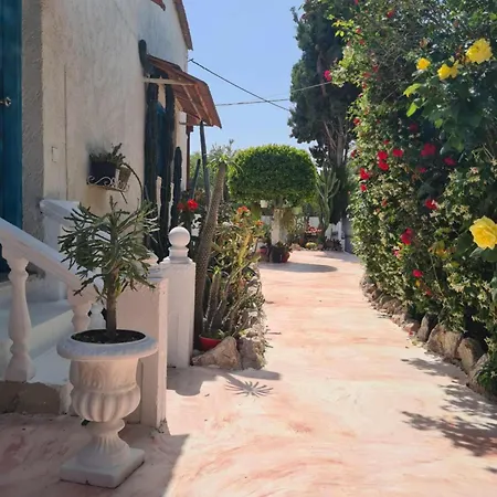 Cactus Living Apartment