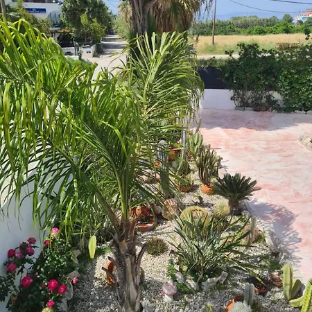 Cactus Living Ialisos