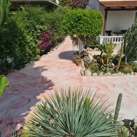 Apartamento Cactus Living