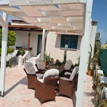 Cactus Living Apartament