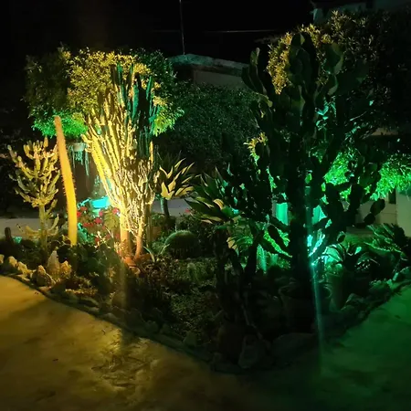 Lägenhet Cactus Living *