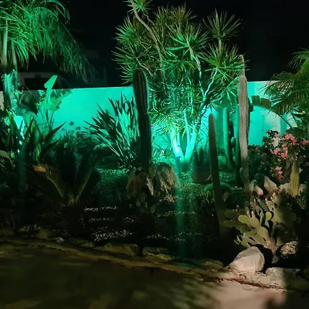 Cactus Living