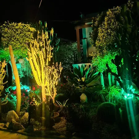Cactus Living Ialysos (Rhodes)
