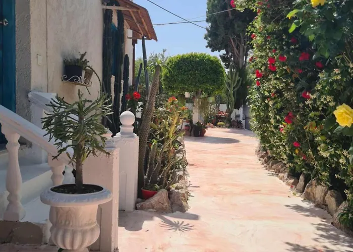 Cactus Living Apartament