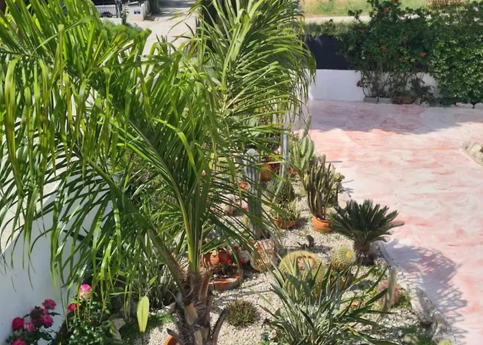 Cactus Living Ialisos