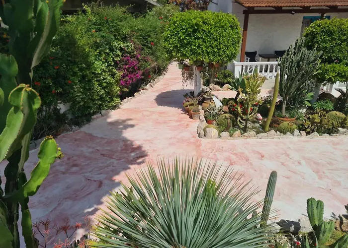 Apartament Cactus Living