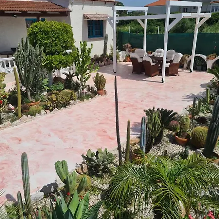 Daire Cactus Living Ialysos (Rhodes)