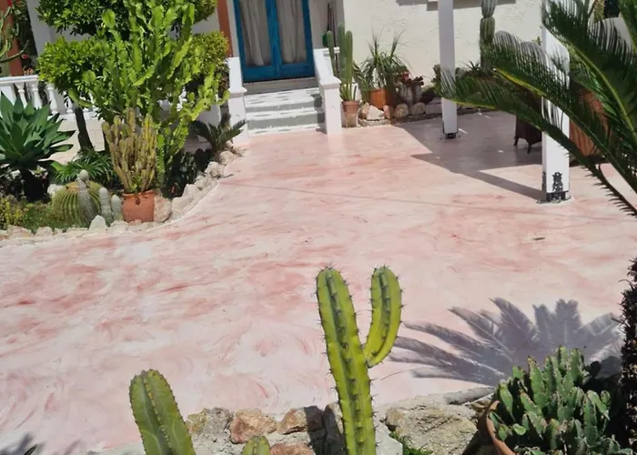 Cactus Living イアリソス